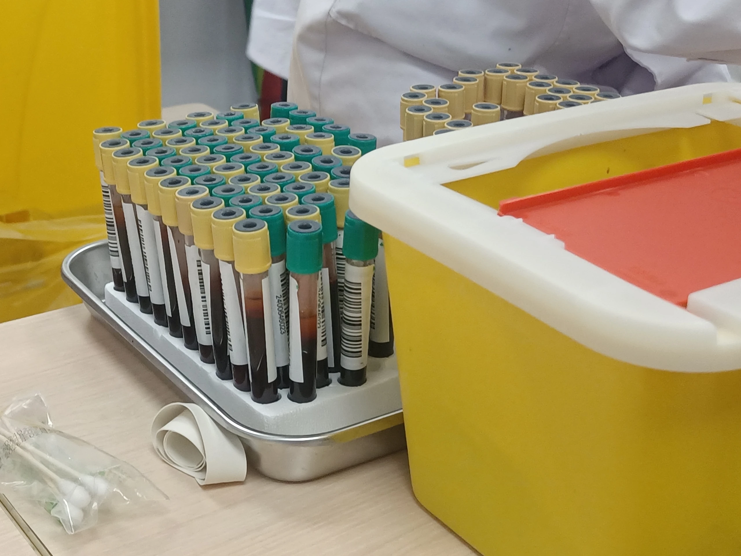 吃肌酸、蛋白粉會傷腎嗎?先別被健檢紅字嚇到
