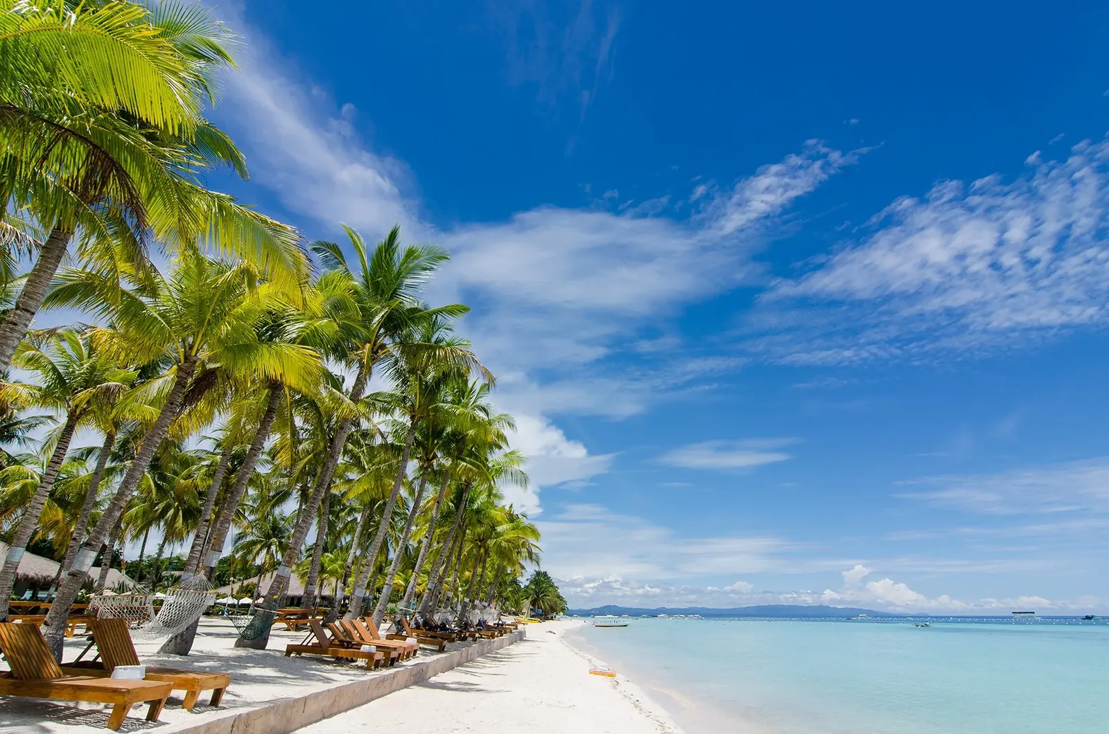 Bohol Beach Club 海灘椰林